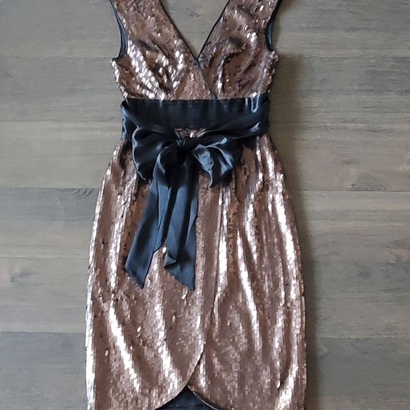 ๐ 3X HOST PICK ๐ BCBG MaxAzria Sequins Cocktail Dress - Picture 15 of 15